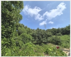  2025Ÿ��496 ��� ���ֽ� �ܵ��� ���踮 694      ����(��)���