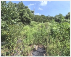  2025Ÿ��496 ��� ���ֽ� �ܵ��� ���踮 694      ����(��)���