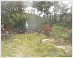  2025Ÿ��508 ��� ���ֽ� ���嵿 769-38       ���ð��