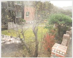  2025Ÿ��508 ��� ���ֽ� ���嵿 769-38       ���ð��