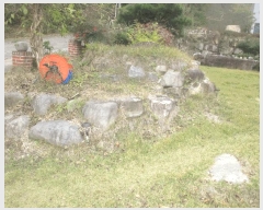  2025Ÿ��508 ��� ���ֽ� ���嵿 769-38       ���ð��