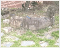  2025Ÿ��508 ��� ���ֽ� ���嵿 769-38       ���ð��