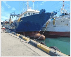  2025Ÿ��524 ��������          ���ڰ��