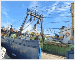  2025Ÿ��524 ��������          ���ڰ��