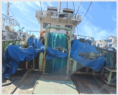  2025Ÿ��524 ��������          ���ڰ��