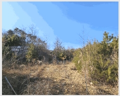  2025Ÿ10238  ֽ 糲 Ŵ븮 7      (Ӿ)