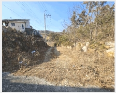  2025Ÿ10238  ֽ 糲 Ŵ븮 7      (Ӿ)