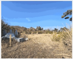  2025Ÿ10238  ֽ 糲 Ŵ븮 7      (Ӿ)