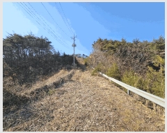  2025Ÿ10238  ֽ 糲 Ŵ븮 7      (Ӿ)