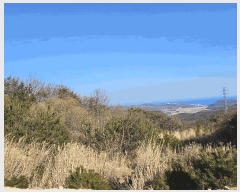  2025Ÿ10238  ֽ 糲 Ŵ븮 7      (Ӿ)