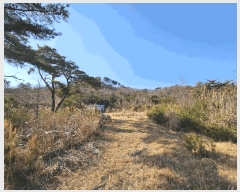  2025Ÿ10238  ֽ 糲 Ŵ븮 7      (Ӿ)