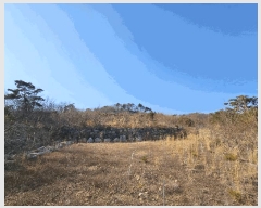  2025Ÿ10238  ֽ 糲 Ŵ븮 7      (Ӿ)