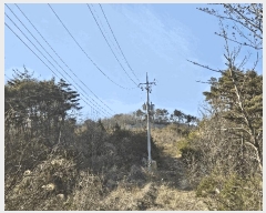  2025Ÿ10238  ֽ 糲 Ŵ븮 7      (Ӿ)