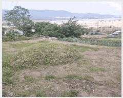  2025Ÿ��10477 ��� ���ֽ� �ܵ��� ���긮 70      ���ð��