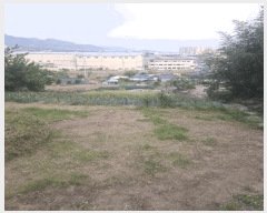  2025Ÿ��10477 ��� ���ֽ� �ܵ��� ���긮 70      ���ð��