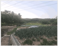  2025Ÿ��10477 ��� ���ֽ� �ܵ��� ���긮 70      ���ð��