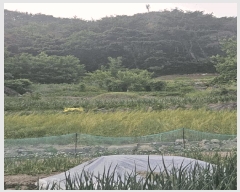  2025Ÿ��10477 ��� ���ֽ� �ܵ��� ���긮 70      ���ð��