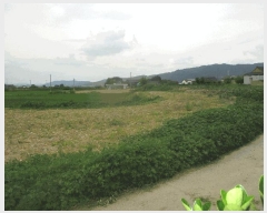  2025Ÿ��10481 ��� ���ֽ� �� 683-1       ����(��1)���