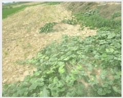  2025Ÿ��10481 ��� ���ֽ� �� 683-1       ����(��1)���