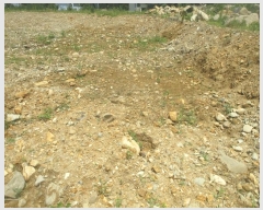  2025Ÿ��10481 ��� ���ֽ� �밭�� 302-10       �ܵ�����,�����ð��