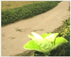  2025Ÿ��10481 ��� ���ֽ� �밭�� 302-10       �ܵ�����,�����ð��