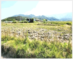  2025Ÿ10489  ֽ ܵ ȭ 940      ()