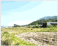  2025Ÿ10489  ֽ ܵ ȭ 940      ()