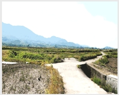  2025Ÿ10489  ֽ ܵ ȭ 940      ()