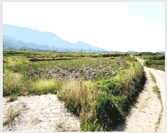  2025Ÿ10489  ֽ ܵ ȭ 940      ()