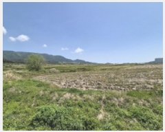  2025Ÿ10489  ֽ ܵ ȭ 940      ()