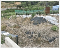  2025Ÿ10491  ֽ  ¸ 758      ()