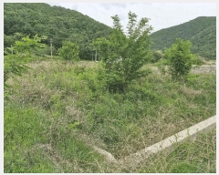  2025Ÿ10491  ֽ  ¸ 758      ()