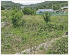  2025Ÿ10491  ֽ  ¸ 758      ()