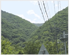  2025Ÿ10509  ֽ Ȳ뵿 203-1       (Ӿ)