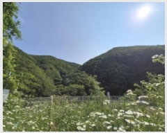  2025Ÿ10509  ֽ Ȳ뵿 203-1       (Ӿ)