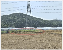  2025Ÿ10521  ֽ ո õ 23      ()