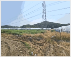  2025Ÿ10521  ֽ ո õ 23      ()