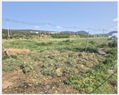  2025Ÿ10521  ֽ ո õ 23      ()