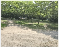  2025Ÿ��10557  ��Ÿ�������