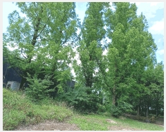  2025Ÿ��10557  ��Ÿ�������