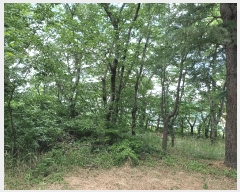  2025Ÿ��10557  ��Ÿ�������