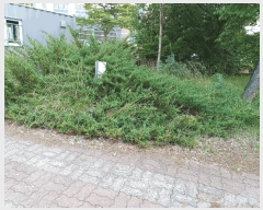  2025Ÿ��10557  ��Ÿ�������