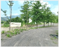  2025Ÿ��10569  ���(ķ����)���