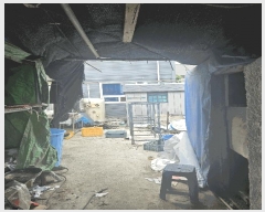  2025Ÿ��10573 ��� ���ֽ� �ܵ��� ��� 1411-19      ��,�繫�ǰ��