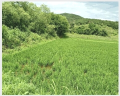  2025Ÿ��10605 ��� ���ֽ� ������ ��õ�� 1052      ����(��)���