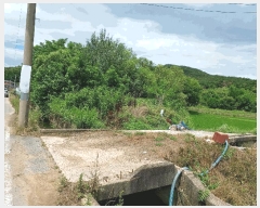  2025Ÿ��10605 ��� ���ֽ� ������ ��õ�� 1052      ����(��)���