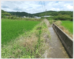  2025Ÿ��10605 ��� ���ֽ� ������ ��õ�� 1052      ����(��)���