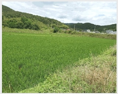  2025Ÿ��10605 ��� ���ֽ� ������ ��õ�� 1052      ����(��)���