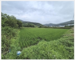  2025Ÿ��10605 ��� ���ֽ� ������ ��õ�� 1052      ����(��)���