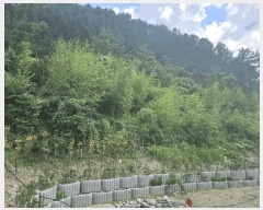  2025Ÿ��10613 ��� ���ֽ� �곻�� �Ϻθ� 859      ����(��)���